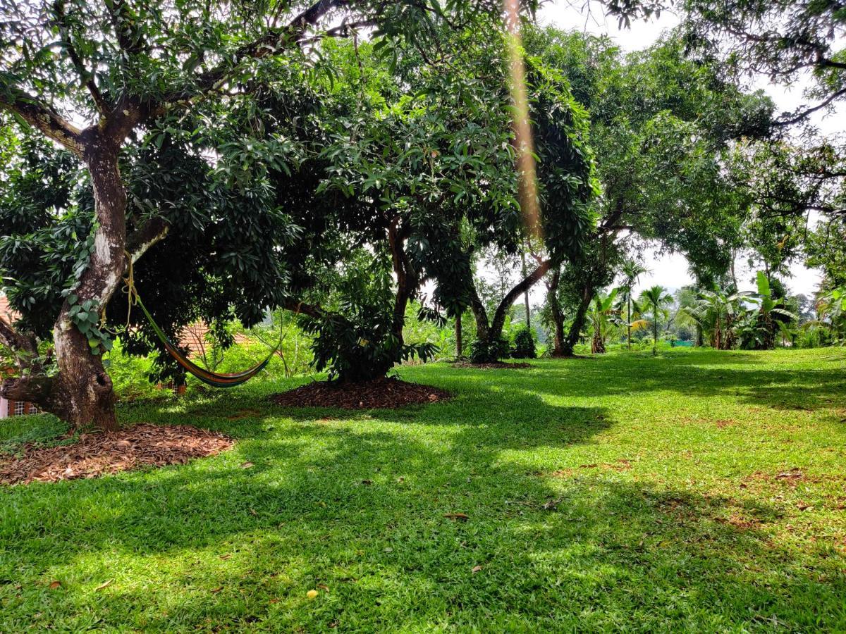 Carmel Tourism Village Kotamangalam Buitenkant foto