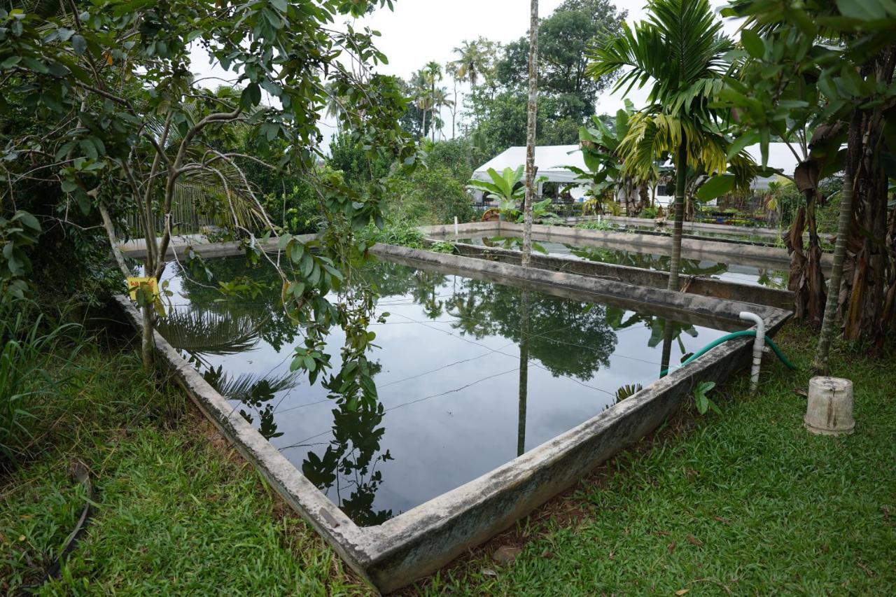 Carmel Tourism Village Kotamangalam Buitenkant foto