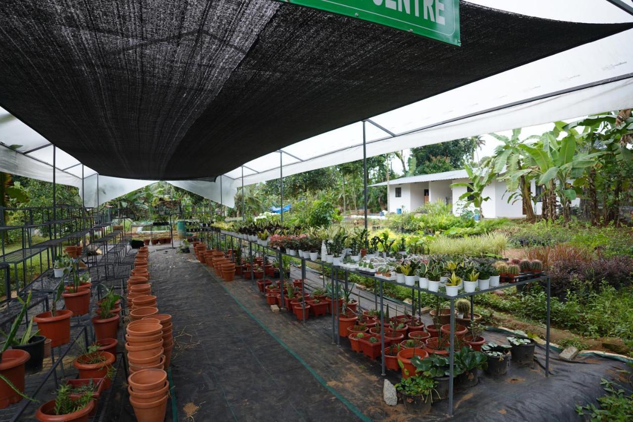 Carmel Tourism Village Kotamangalam Buitenkant foto